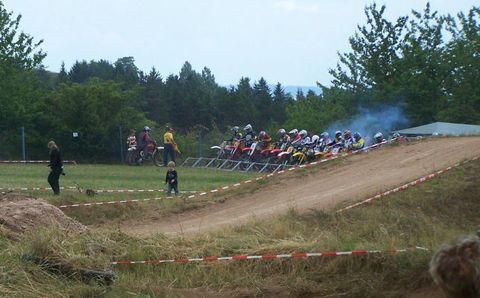 Moorgrund Bild 19
