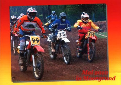 Moorgrund Bild 40